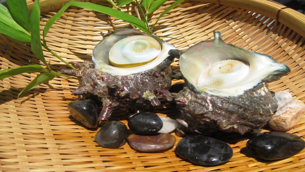 湯回廊 菊屋 静岡