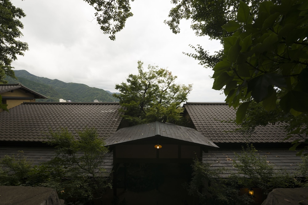 無雙庵 枇杷 静岡
