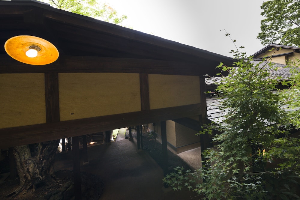 無雙庵 枇杷 静岡