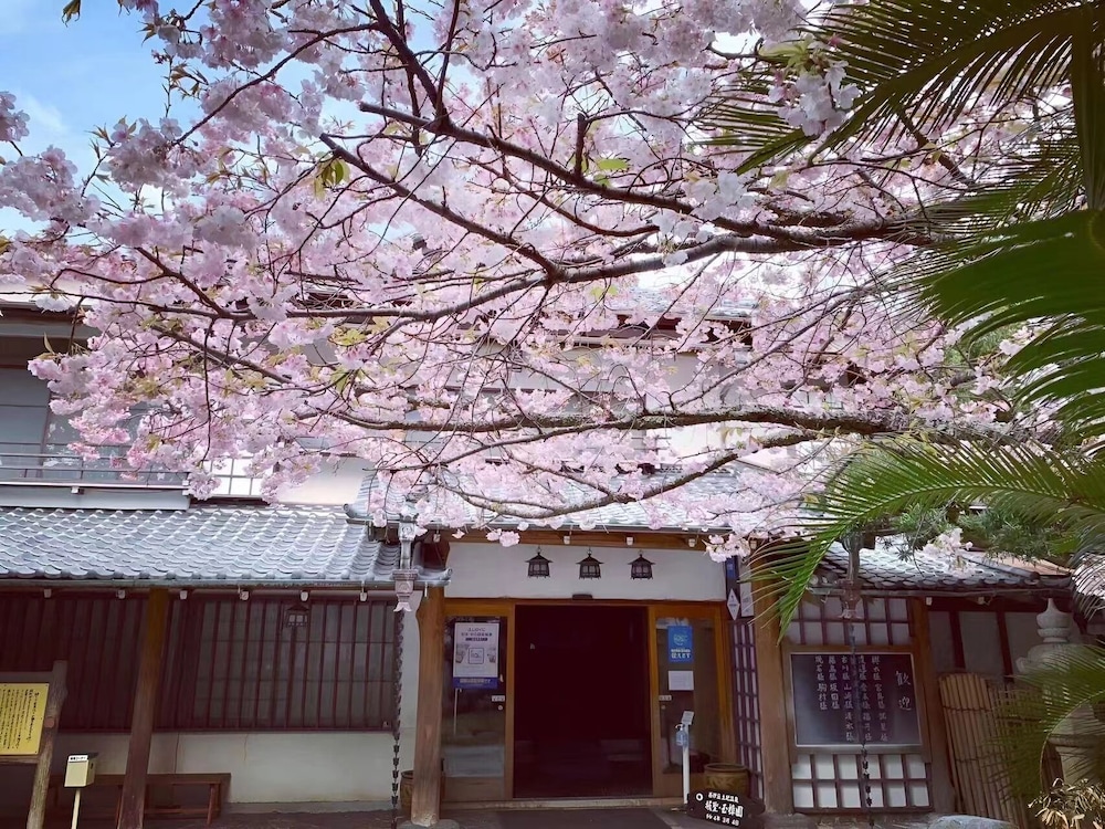 坂聖・玉樟園 静岡