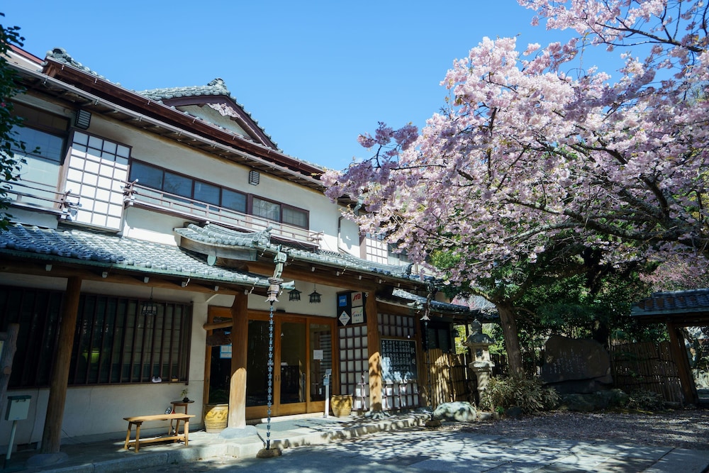 坂聖・玉樟園 静岡