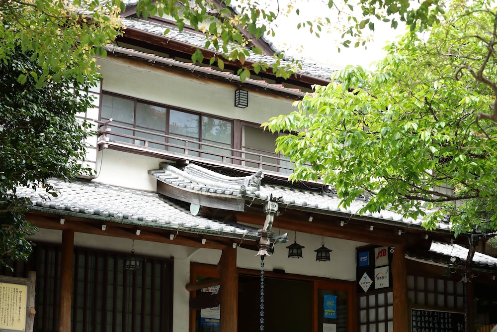 坂聖・玉樟園 静岡