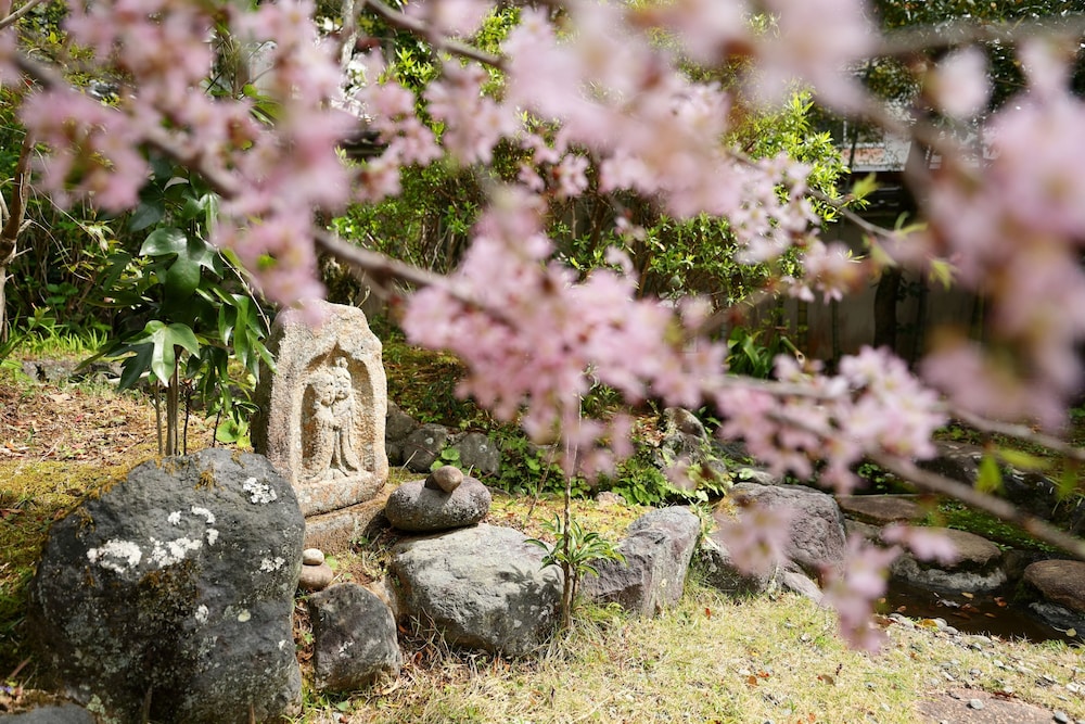 坂聖・玉樟園 静岡