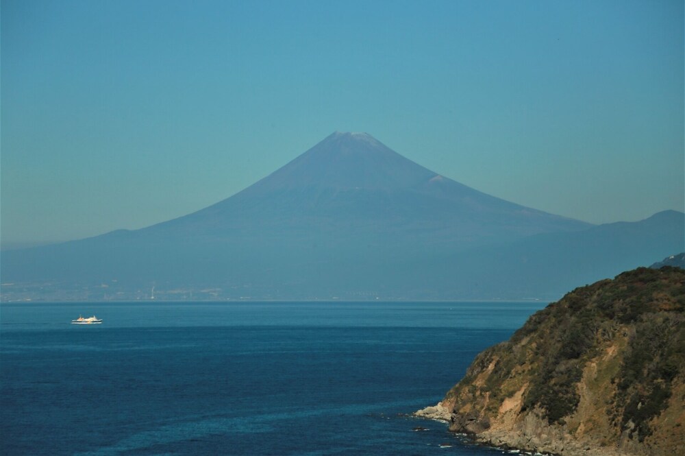 坂聖・玉樟園 静岡