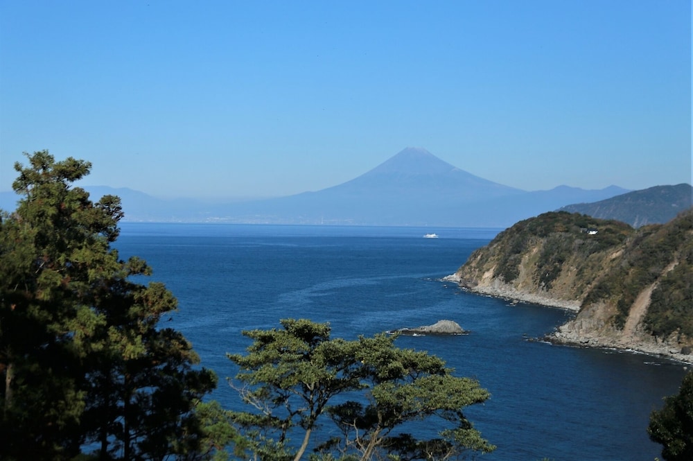 坂聖・玉樟園 静岡