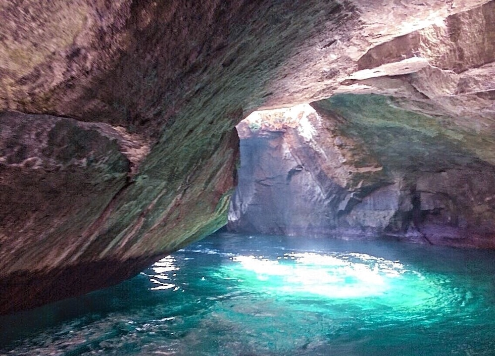 坂聖・玉樟園 静岡