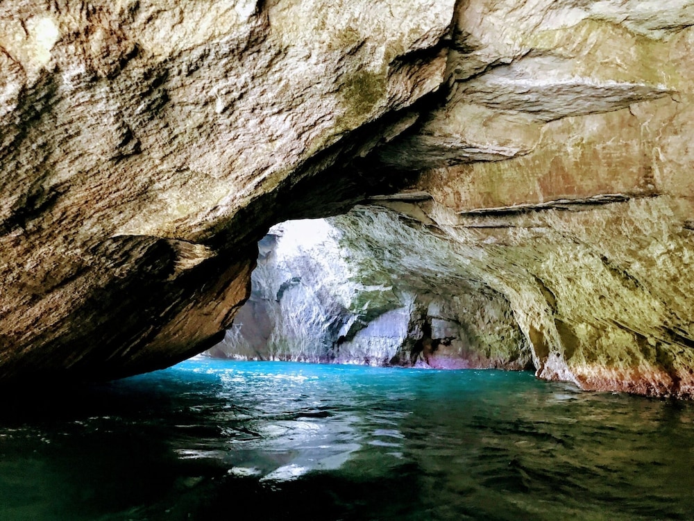 坂聖・玉樟園 静岡