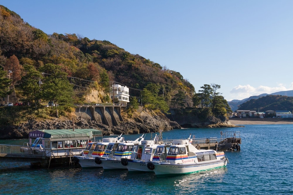 坂聖・玉樟園 静岡