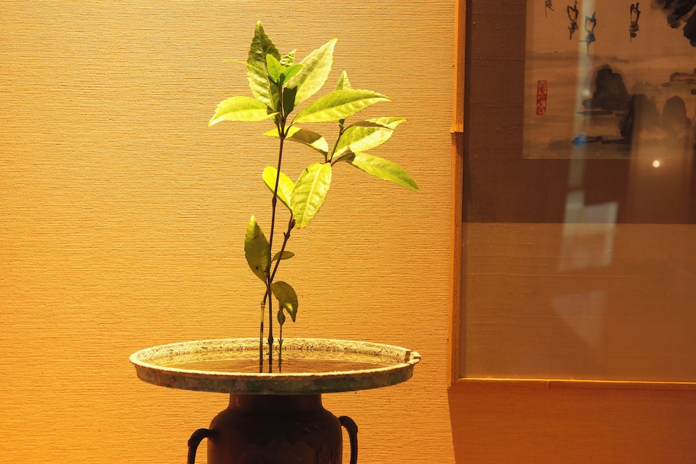 大地の彩 花月亭 静岡