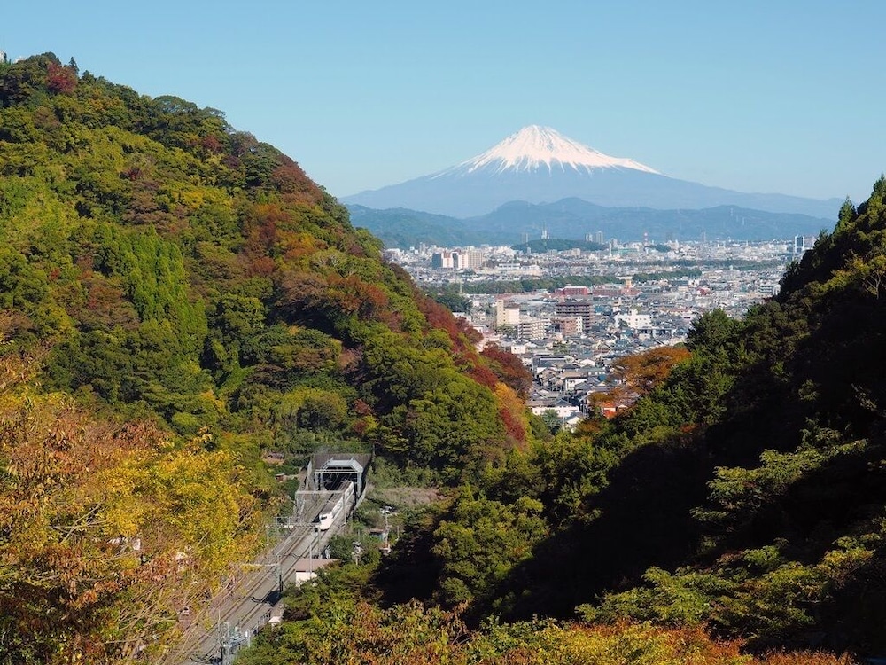 日本色 NIHON IRO 静岡