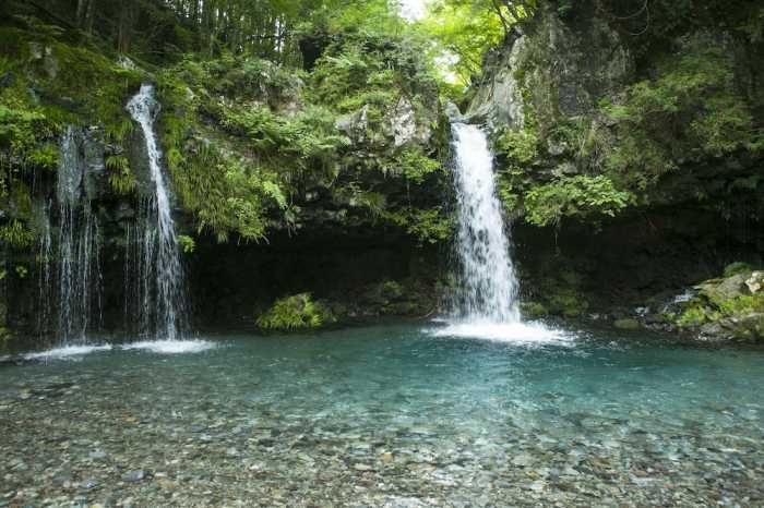 休暇村富士 静岡