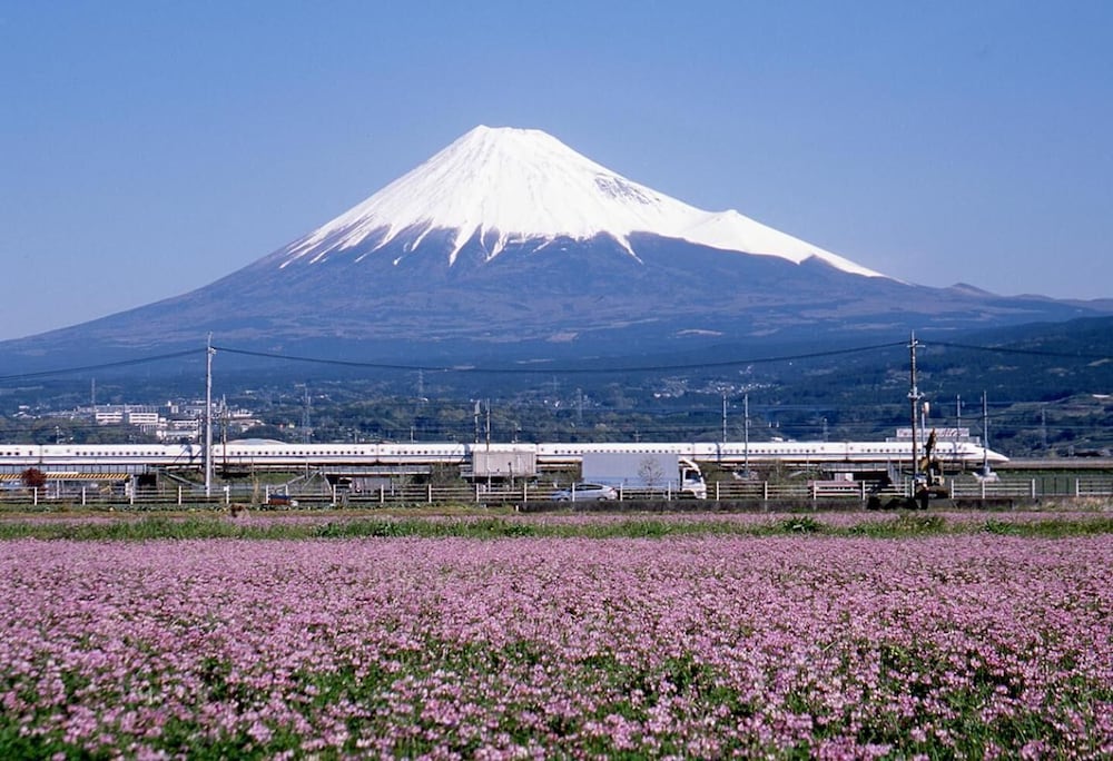 ビジネスホテル駿府 静岡