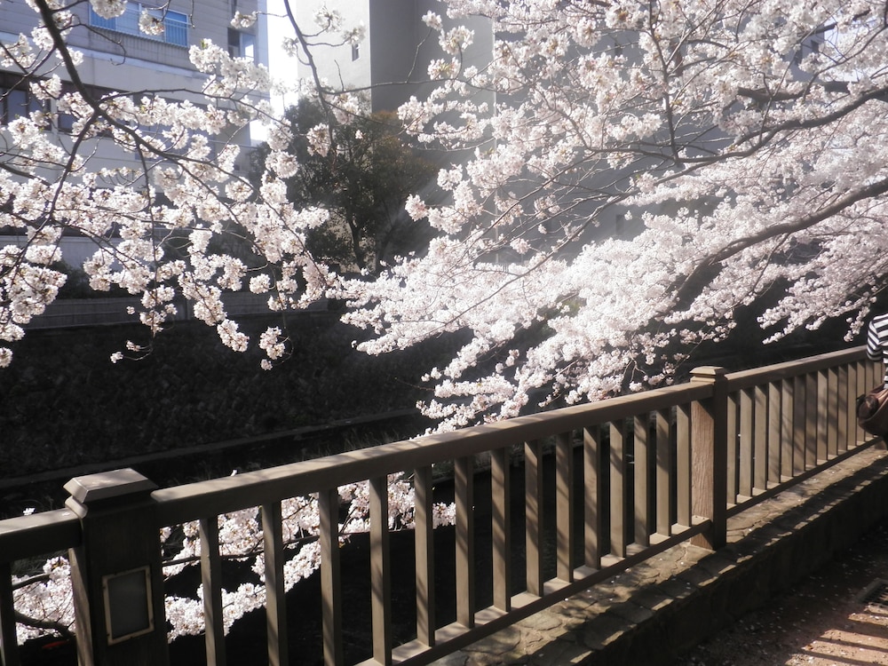 緑風園 静岡