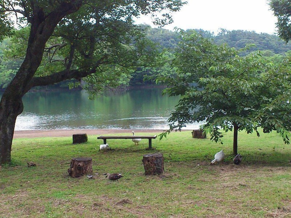 伊豆一碧湖レイクサイドテラス　（旧　紀州鉄道伊豆一碧湖ホテル） 静岡