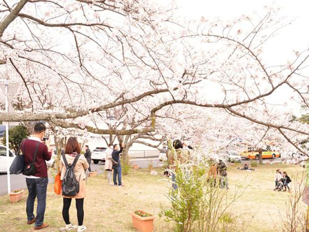 FUTO HOUSE -IPPON NO ENPITSU- 静岡