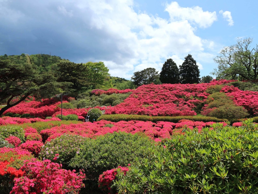 FUTO HOUSE -IPPON NO ENPITSU- 静岡