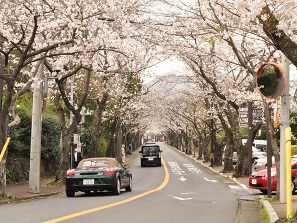 FUTO HOUSE -IPPON NO ENPITSU- 静岡