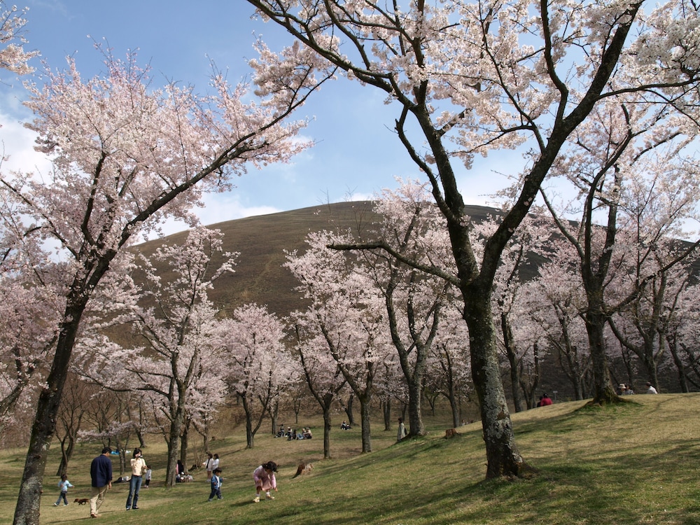 FUTO HOUSE -IPPON NO ENPITSU- 静岡