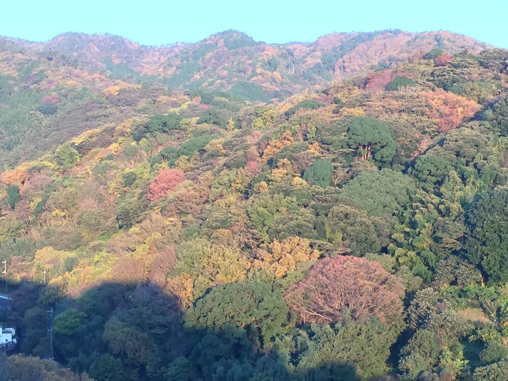 倭荘 静岡