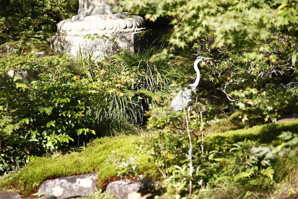 あさば旅館 静岡