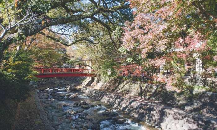 ホステル ノット 静岡