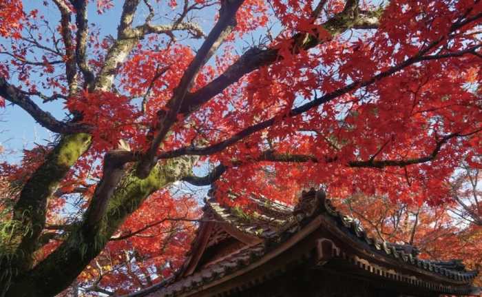ホステル ノット 静岡