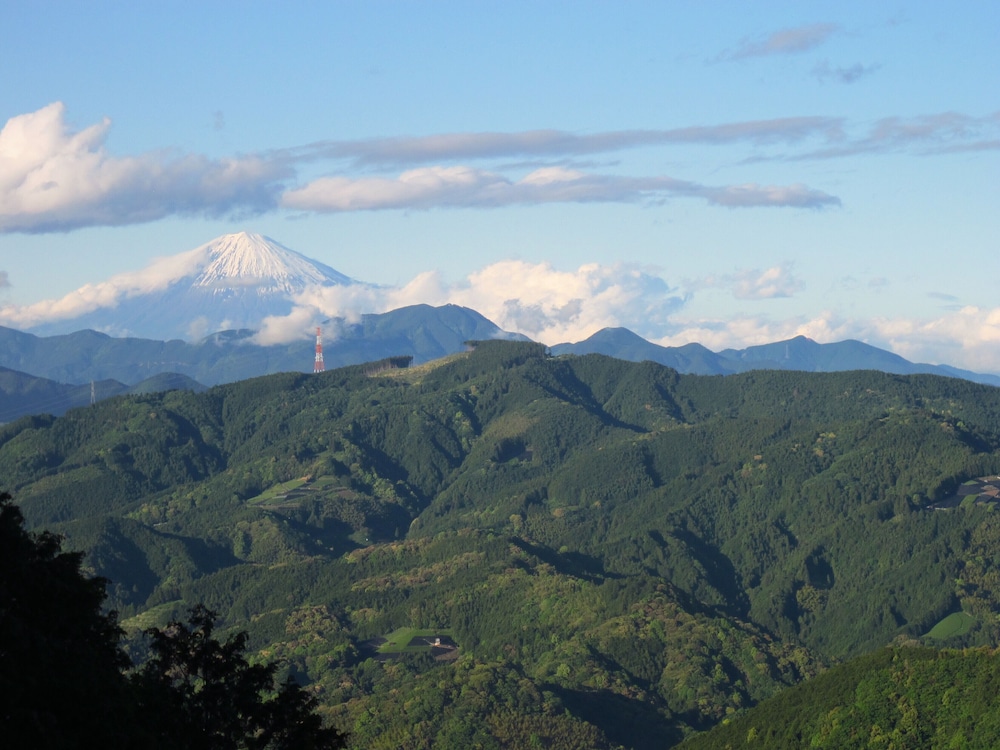YUI VALLEY 静岡