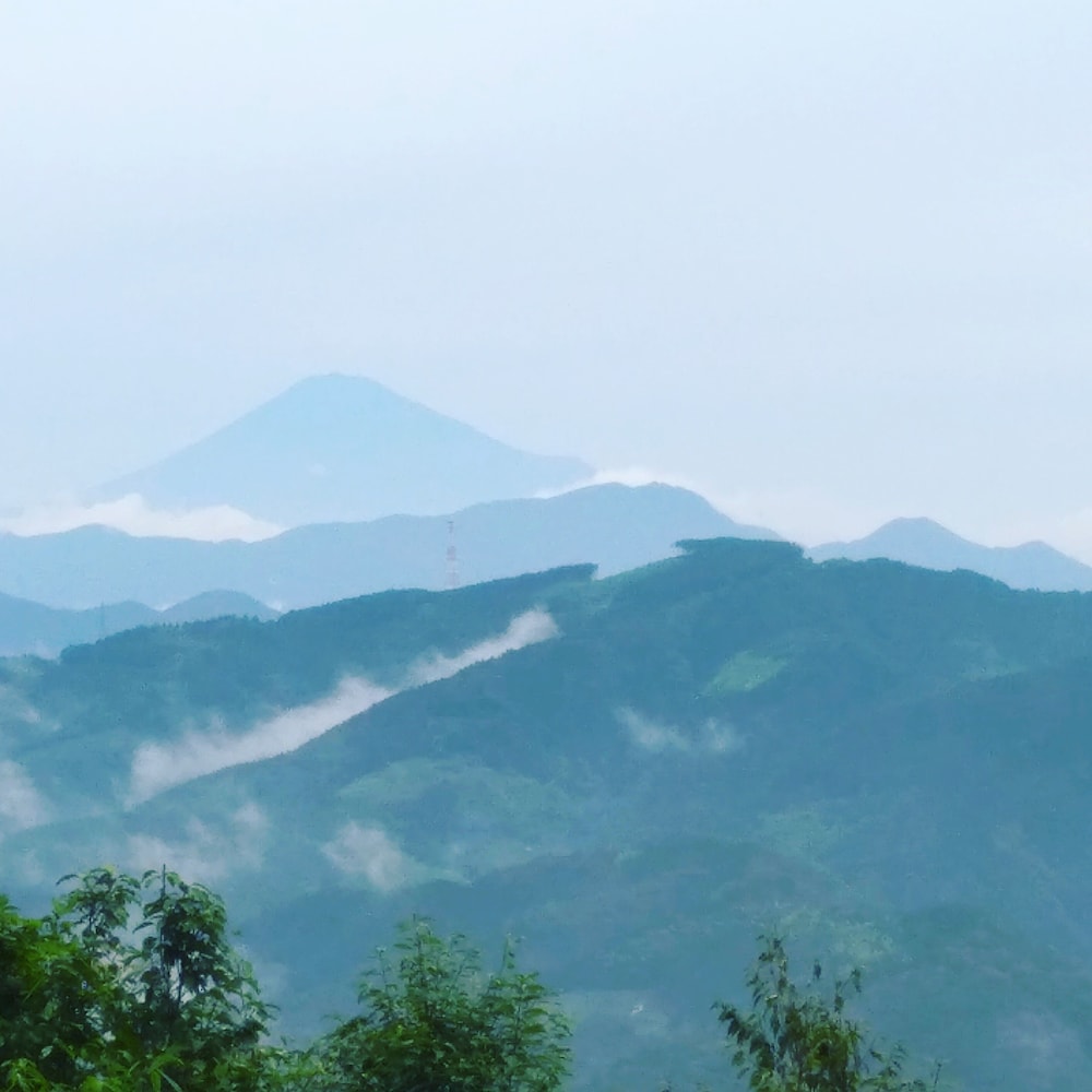 YUI VALLEY 静岡