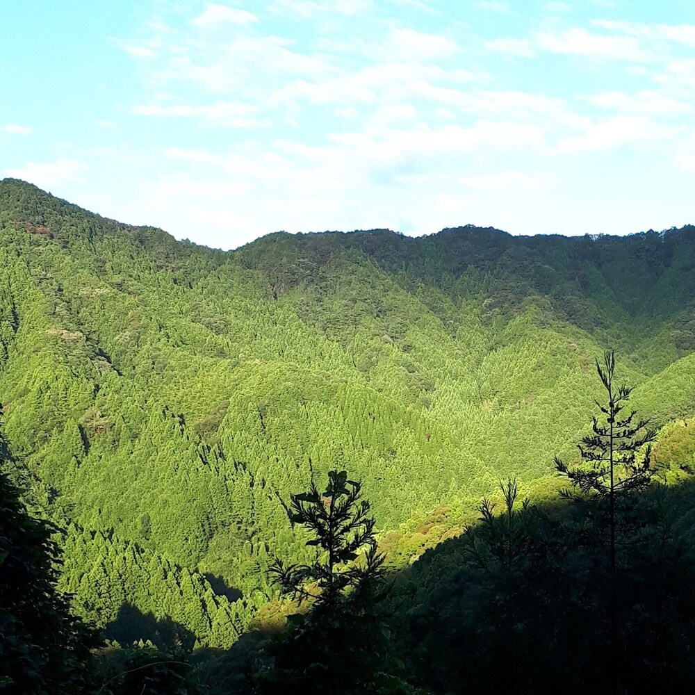 YUI VALLEY 静岡