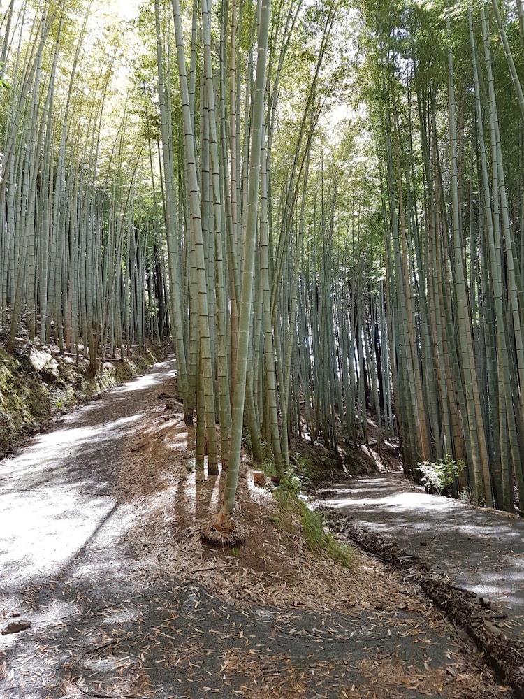 YUI VALLEY 静岡