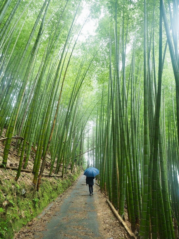 YUI VALLEY 静岡
