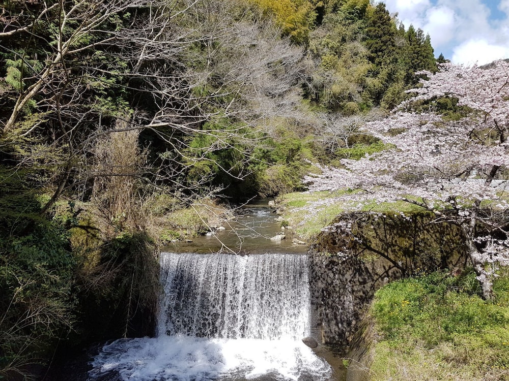 YUI VALLEY 静岡