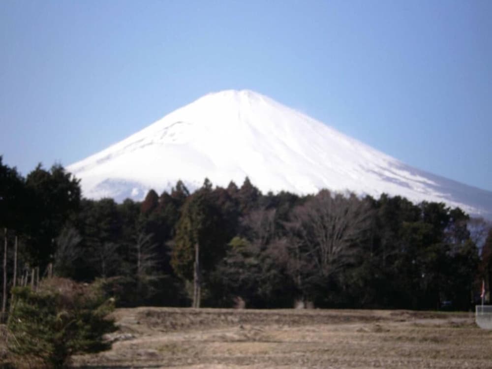 南海薬草館 静岡