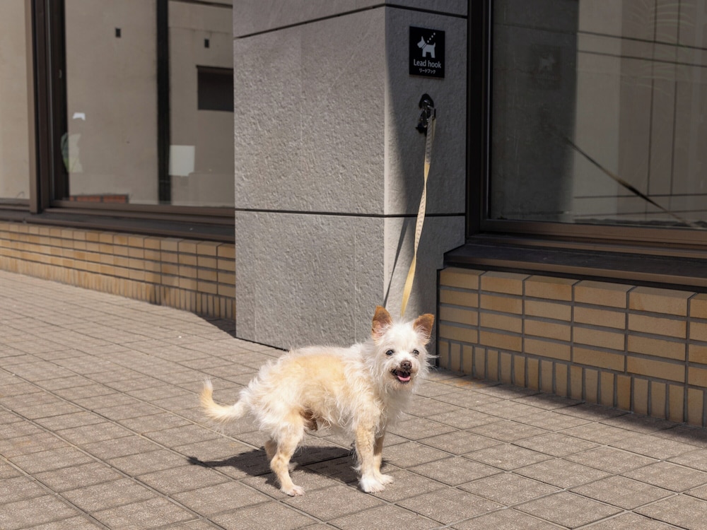 アパホテル＆リゾート〈上越妙高〉 新潟