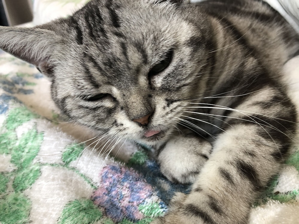 ゲストハウス バンヌッフ 新潟