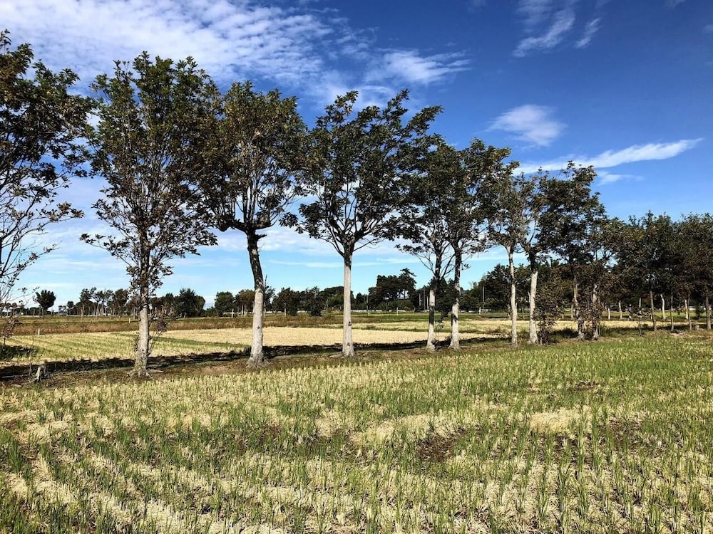 岩室スロウホステル 新潟