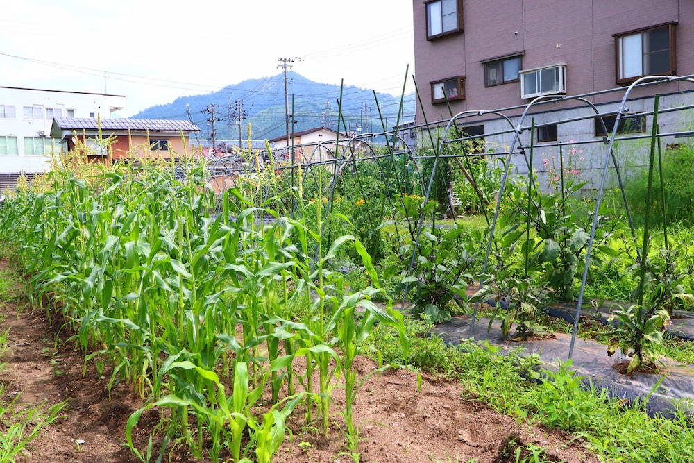 高野屋 新潟