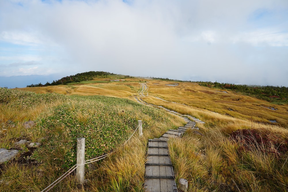 SANSAN YUZAWA CAFE AND BAR & BACKPACKERS 新潟