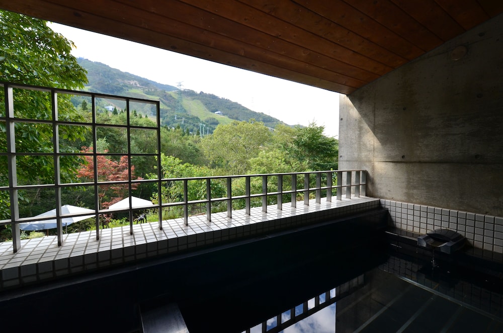 THE KINTA NAEBA 新潟