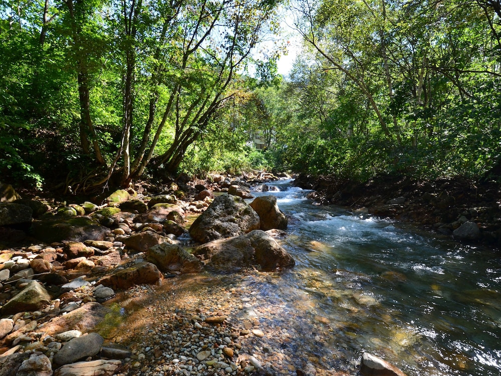 THE KINTA NAEBA 新潟
