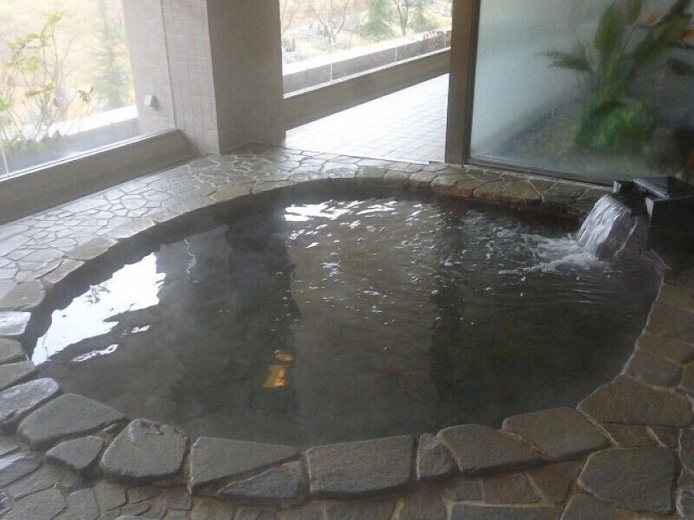 越後湯沢温泉 ガーデンタワーホテル 新潟