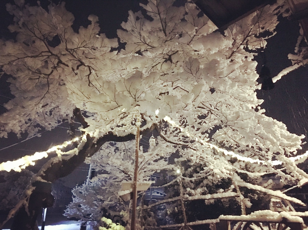 NEMARU ほんとぐらし 新潟