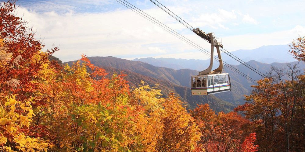 ペンション カム 新潟