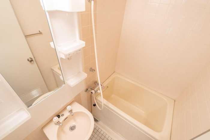 エンゼルリゾート湯沢 210 号室 新潟