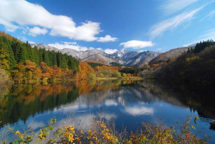 エンゼルリゾート湯沢 202 号室 新潟