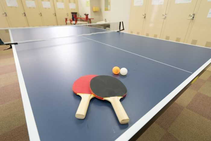 エンゼルリゾート湯沢 311 号室 新潟