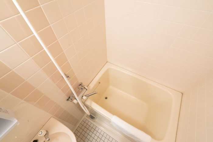 エンゼルリゾート湯沢 305 号室 新潟