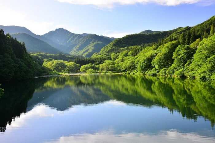 エンゼルリゾート湯沢 901 号室 新潟