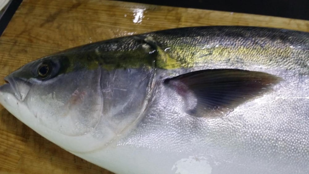 夕日と漁火の宿 七浦荘 新潟