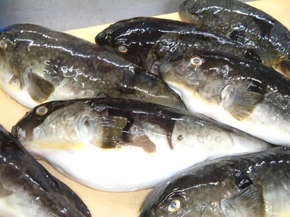 夕日と漁火の宿 七浦荘 新潟